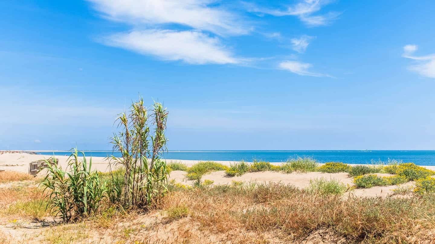 Costa de la Luz